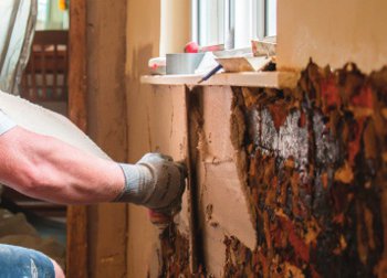 Safeguard plaster restores property