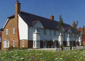 The Poppies gets Zeeland slate