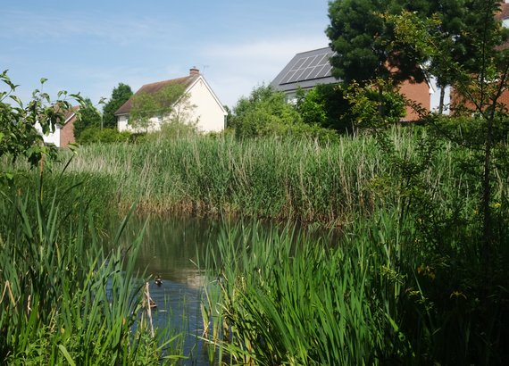 Countryside SuDs