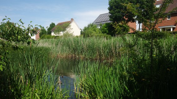 Countryside SuDs
