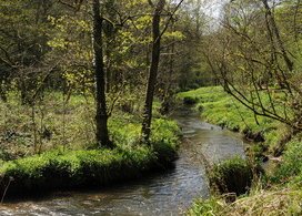 DEFRA Plan for Water