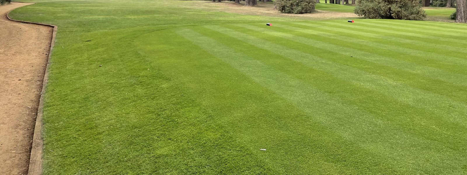 HBF Golf Day 2022