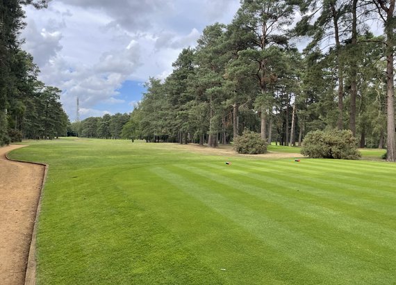 golf no branding