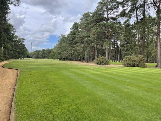 golf no branding