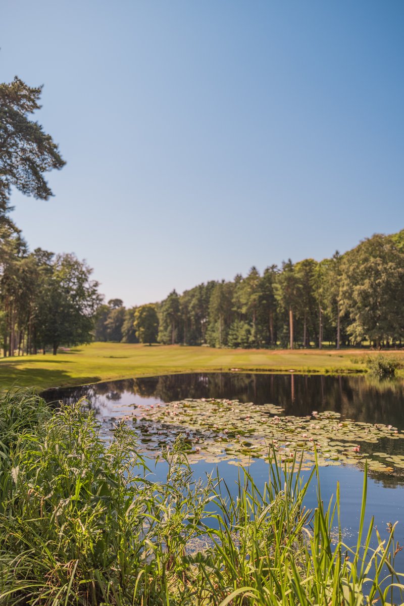 GOLF26-1 (21)