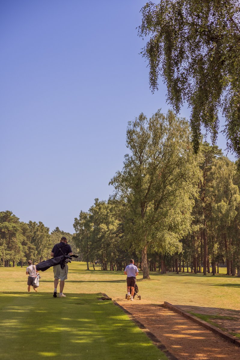 GOLF26-1 (33)