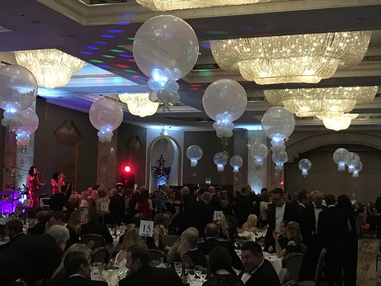 HBF Ball 2018
