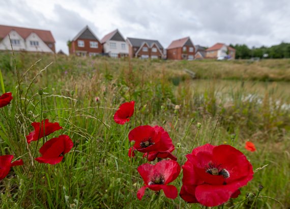 Redrow Caddington Woods