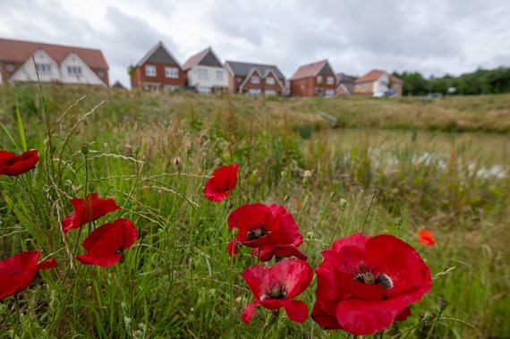 Redrow Caddington Woods