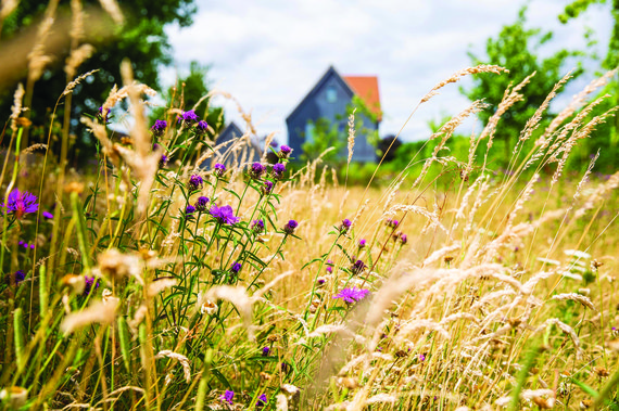 SPRINGFIELD MEADOWS-14