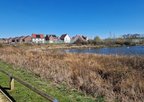 Environmental planning