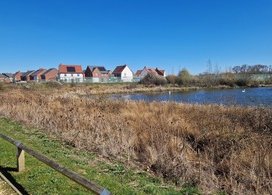 Environmental planning