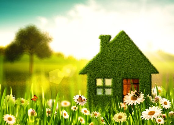 Green house