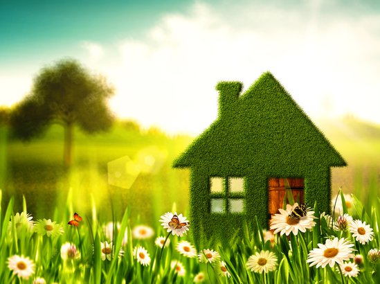 Green house