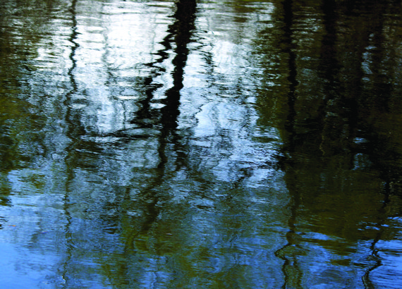 Nutrients and water